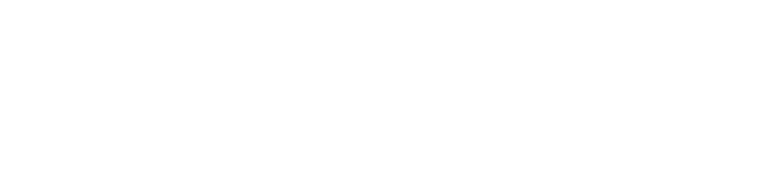 NEStore / Newton